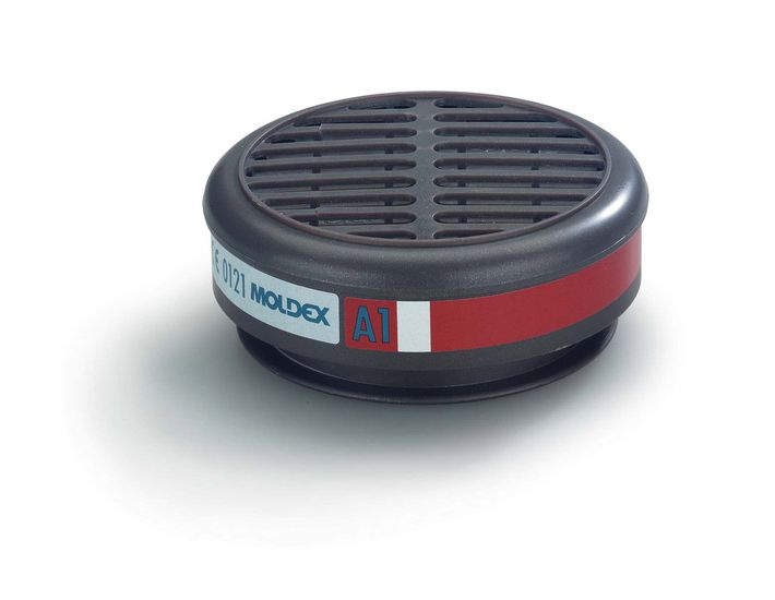 FILTRE 8100 A1 (10PC)